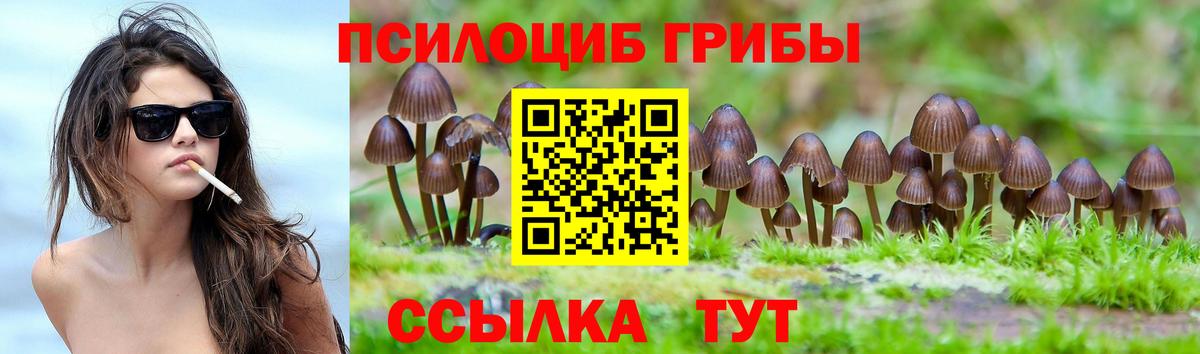 Богородицк  Псилоцибиновые грибы Magic Shrooms  Вход с VPN 